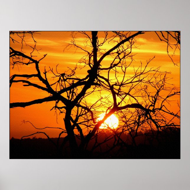 Poster Sunset Entwine (Frente)
