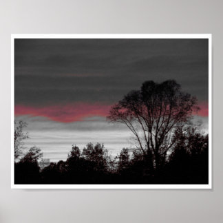 Póster Sunset exclusivo