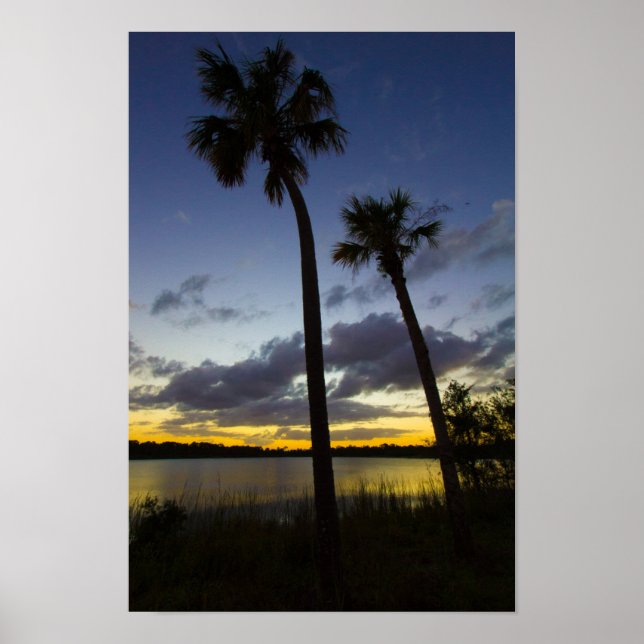 Póster Sunset, George Lestrange Preserve, Fort Pierce, FL (Frente)