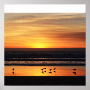 Póster Sunset in California