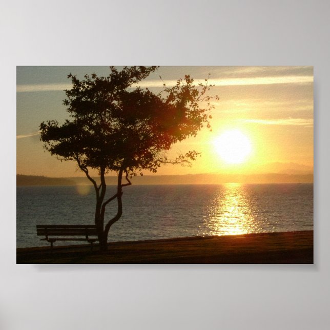 Poster Sunset na Beach Drive (Frente)