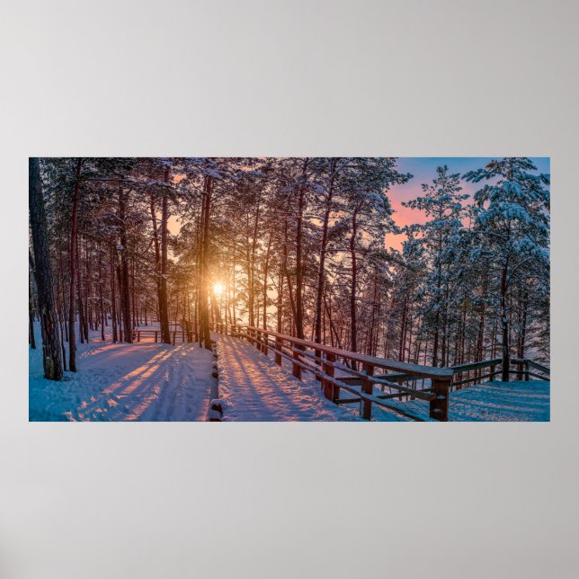 Poster Sunset na floresta de pinheiros com neve com raio  (Frente)