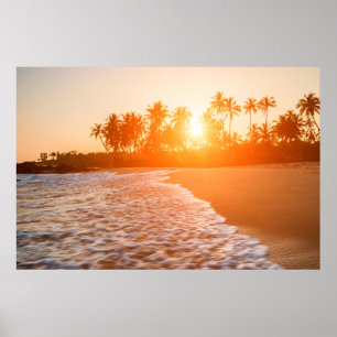 Poster Sunset na Praia com Palmas de Coco Sri Lanca