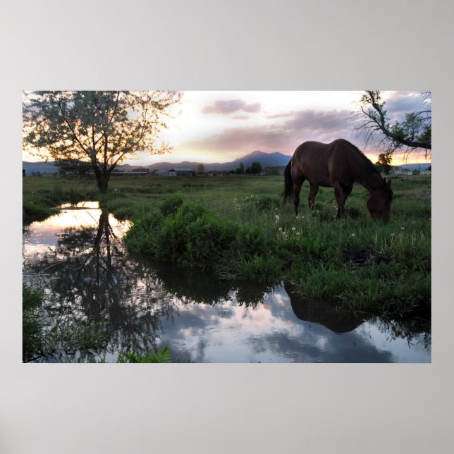 Póster Sunset natural (Frente)