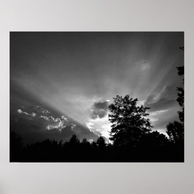 Poster Sunset/Noir (Frente)