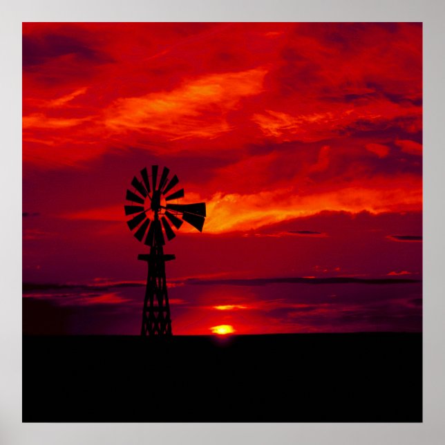 Póster Sunset para Moinho (Frente)
