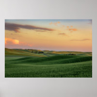 Sunset sobre Campos de Trigo | Estado de Washingto