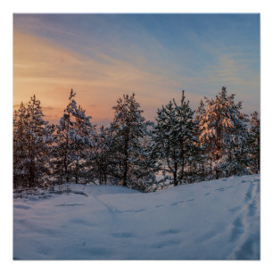 Póster Sunset sobre floresta de neve congelada perto do m