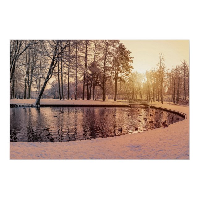Póster Sunset sobre parque com lago congelado pequeno (Frente)