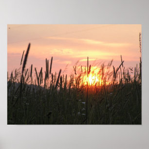 Poster Sunset - tru field