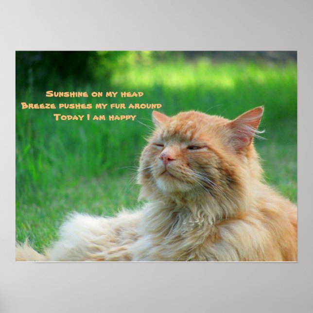 Póster Sunshine Breeze Happy Cat Haiku (Frente)