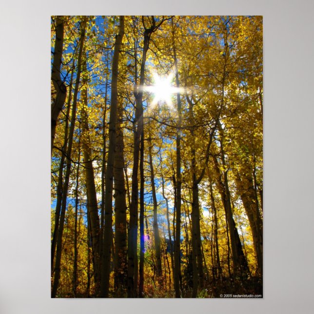 Póster Sunstar name (Frente)