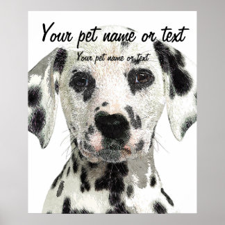 Poster Super Cute, Puppy Dalmatian Dog