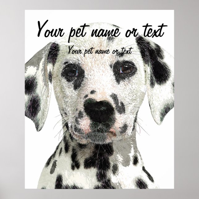 Poster Super Cute, Puppy Dalmatian Dog (Frente)