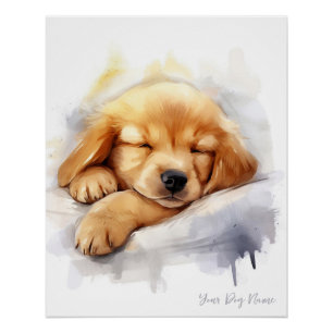 Póster Super fofo anjo dormindo Ouro de cachorro Retrieve