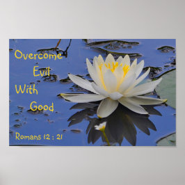 Poster Supere o Mau com boa Lily