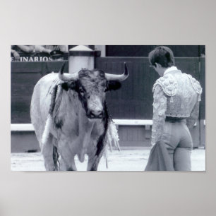 Poster Suporte isolador do Bullfight