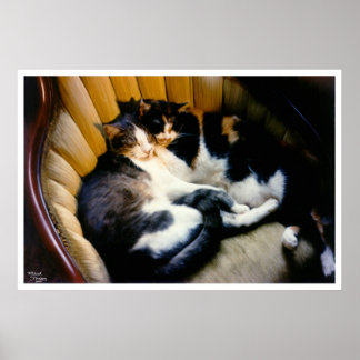 Póster Suporte mútuo