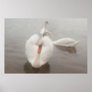 Poster Suportes De Arte Para Aquarelas Modernas Elegantes