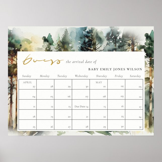 Poster Suposição da Data de Nascimento do Bebê na Florest (Frente)