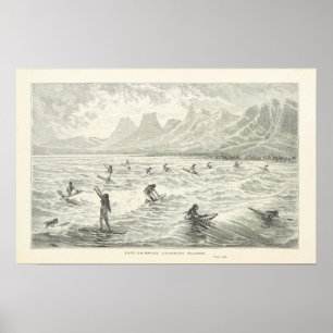 Póster Surf-Natação, ilhas de sanduíche