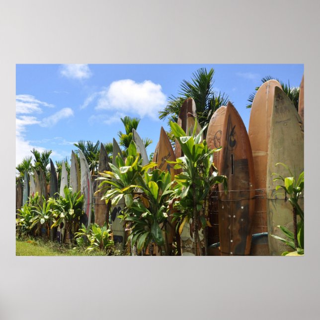 Póster Surfboard Fence Maui, HI (Frente)