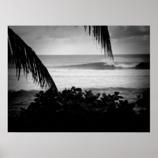 Póster Surfistas que Conduzem Empresas B&W