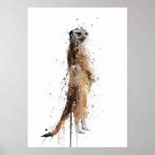 Poster Suricata