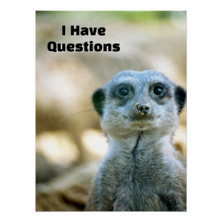 Póster Suricata Engraçada Eu Tenho Perguntas Humor Animal