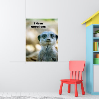 Poster Surpreendente Suricata Eu Tenho Perguntas Humor An