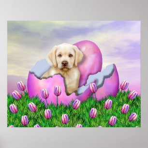 Póster Surpresa amarela da páscoa de Labrador