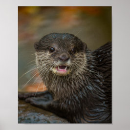 Poster Surpresa total