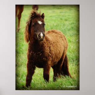 Poster Surprized Mini