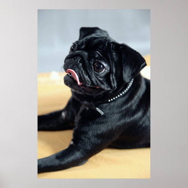 Póster Surrupias (Frente)