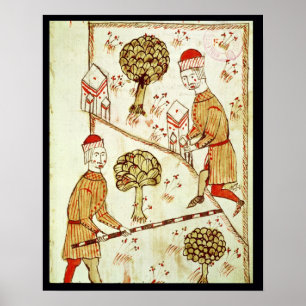 Póster Surveying and demarcation of land