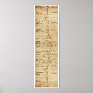 Póster Suryanamaskara - saudação de The Sun - retrato