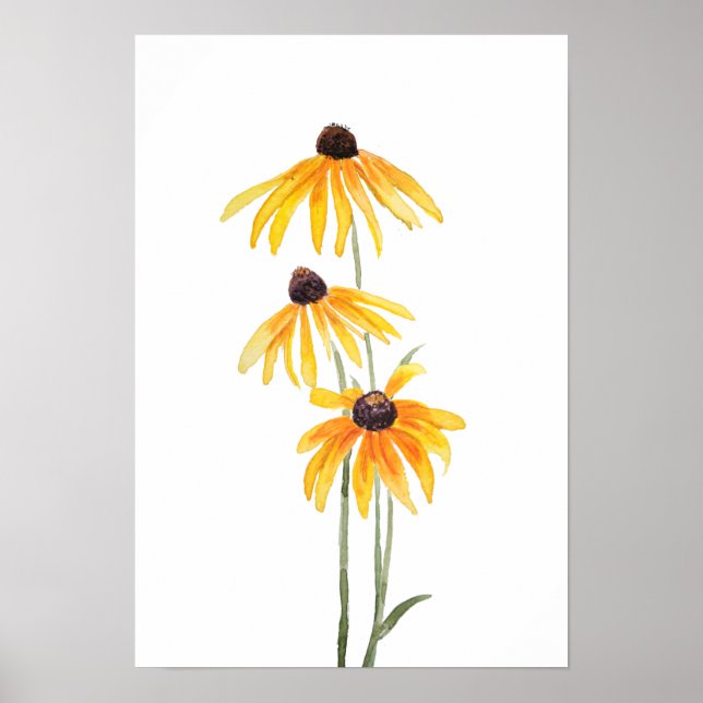 Poster Susan gloriosa daisse watercol (Frente)