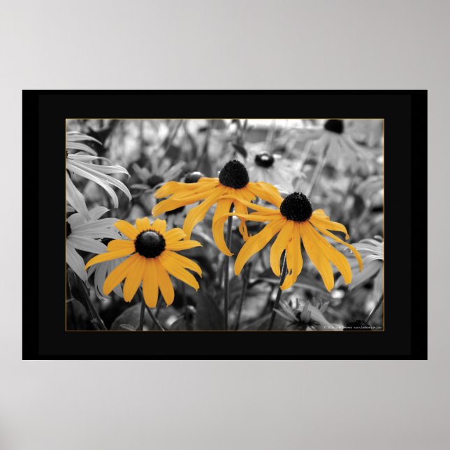 Póster Susan Três (Frente)