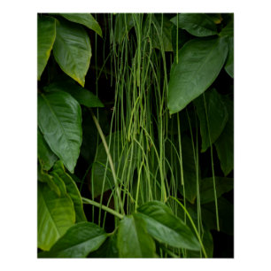 Póster Suspended Nature