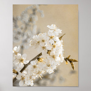 Poster Suspiros Florais Tapeçaria Desdobra Blossomas de C