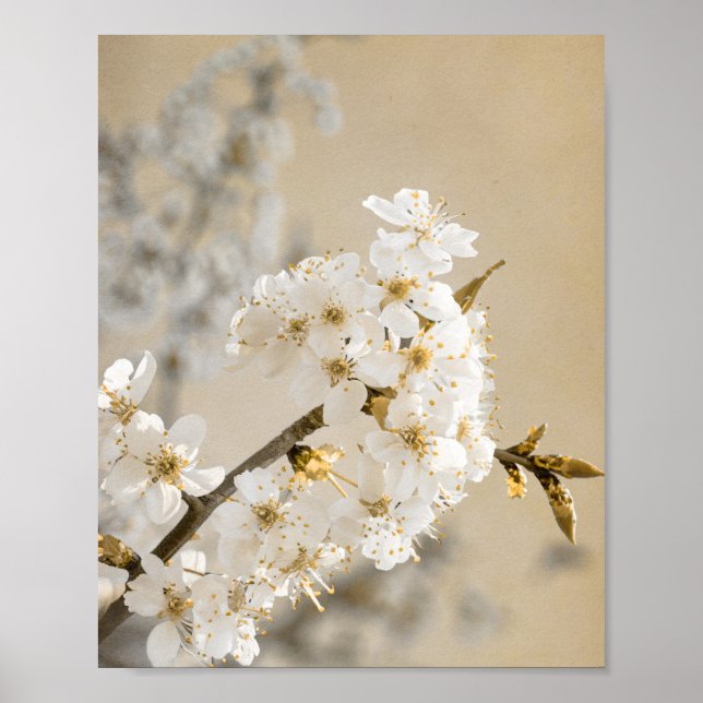 Poster Suspiros Florais Tapeçaria Desdobra Blossomas de C (Frente)