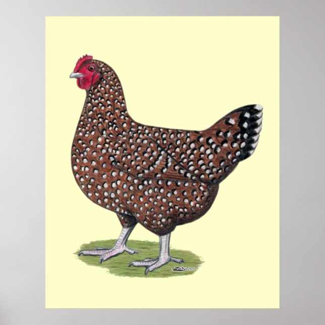 Poster Sussex: Hen Espetacular (Frente)