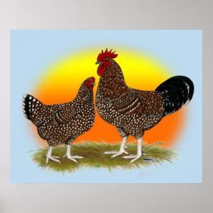 Póster Sussex Sunrise
