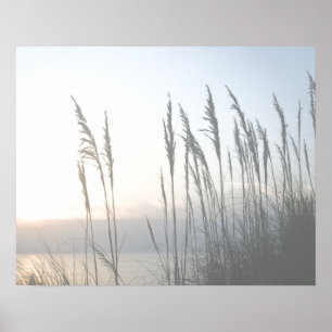 Poster Sussurro da Manhã