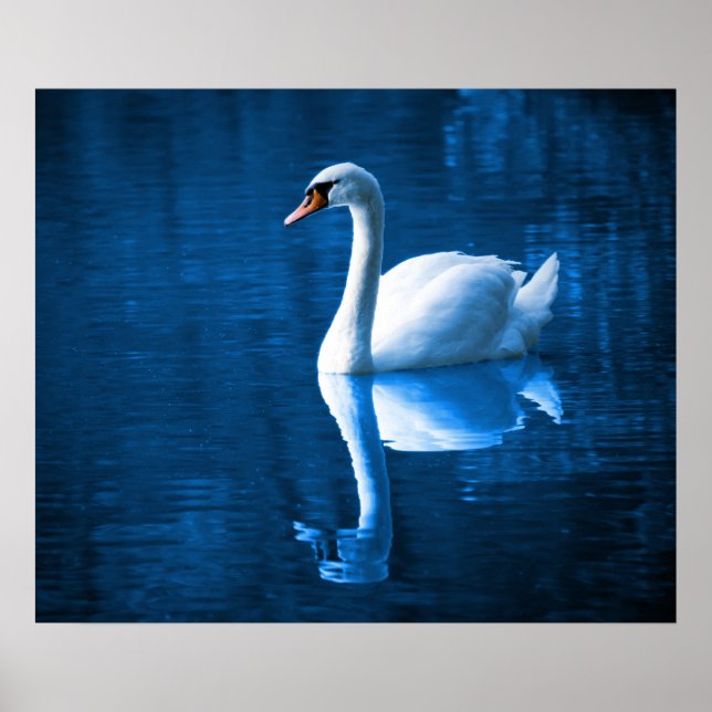 Poster Swan (Frente)