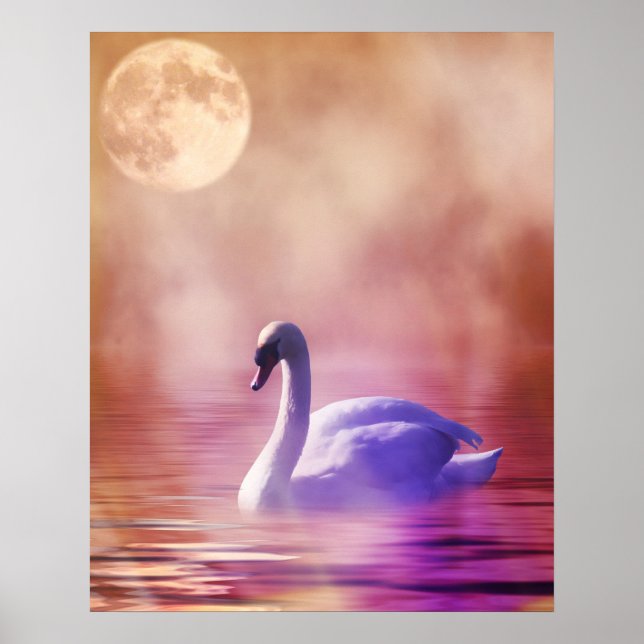 Póster Swan Branco flutuando num lago névoo (Frente)