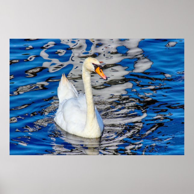 Poster Swan com Reflexões (Frente)