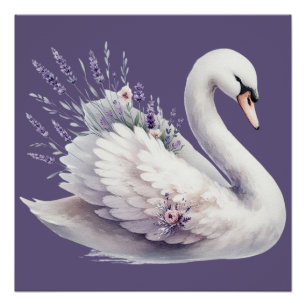 Póster Swan de Aquarela com Florais de Lavanda