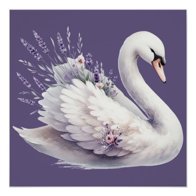 Póster Swan de Aquarela com Florais de Lavanda (Frente)