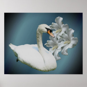 Poster Swan E Hibiscus Flores Natureza Arte